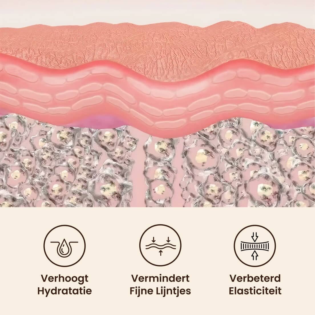 GloraMD image