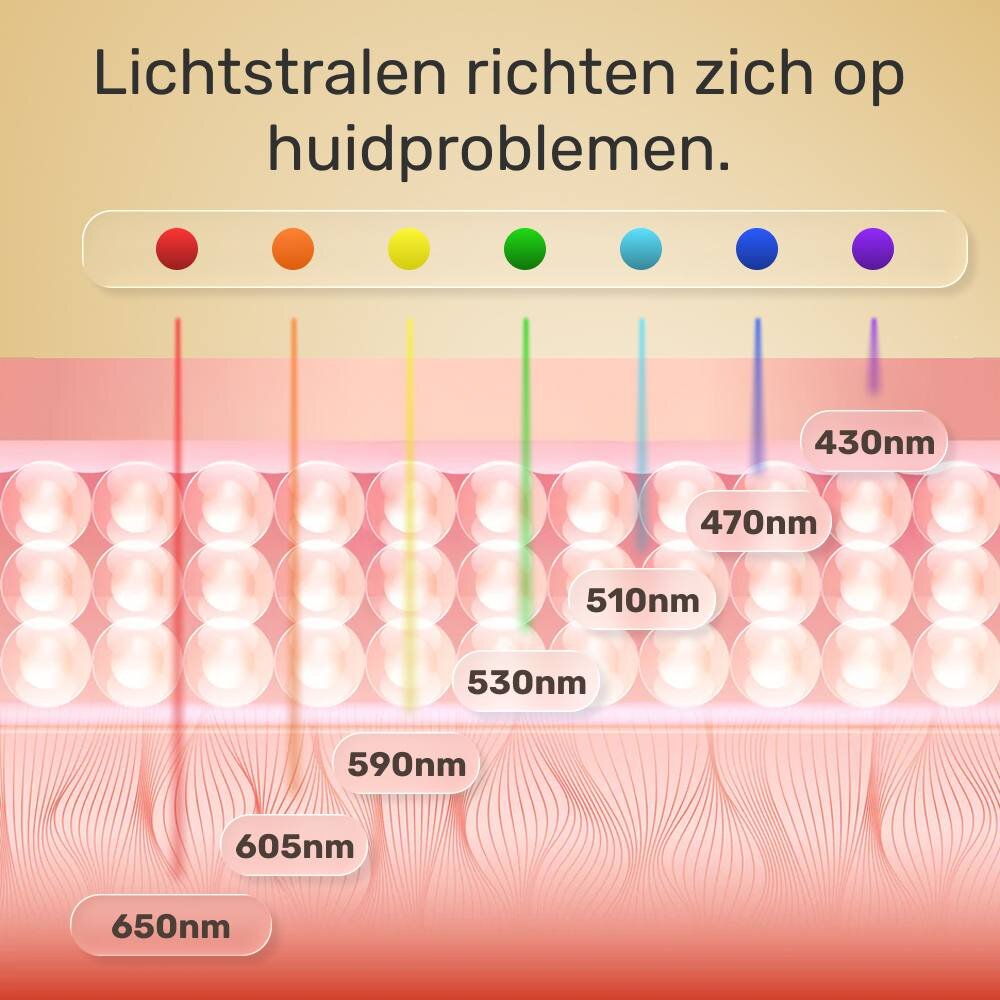GloraMD image
